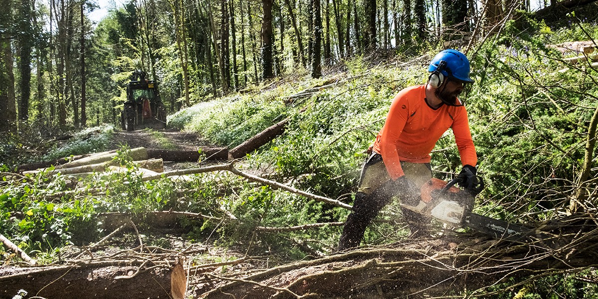 Governo Quer Reclusos a Limpar Matas